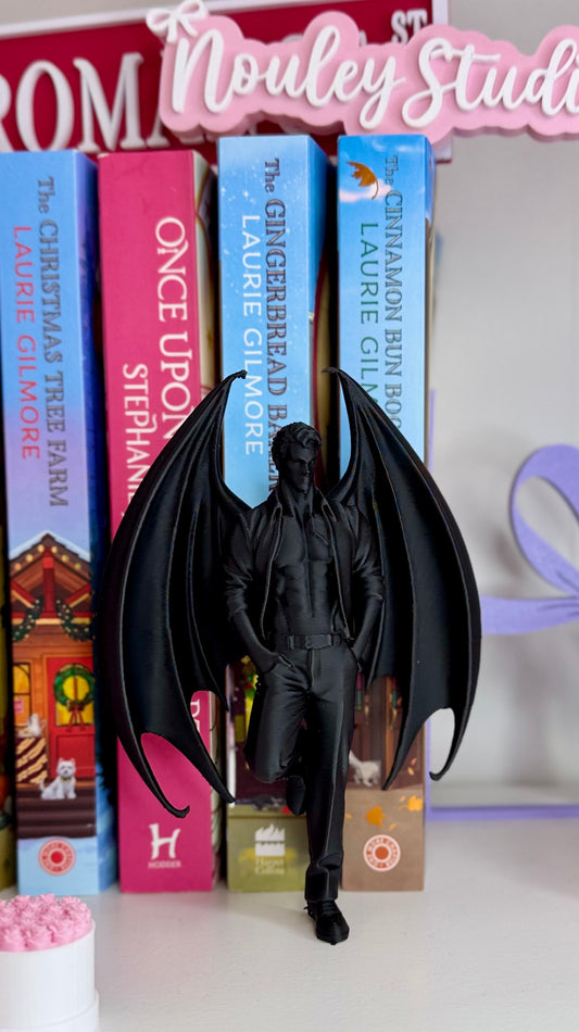 Bookshelf insert | The midnight Reader